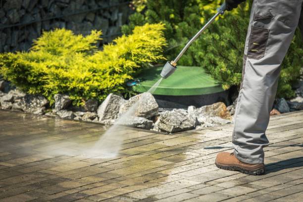 Best Gutter Cleaning and Brightening in North Tustin, CA
